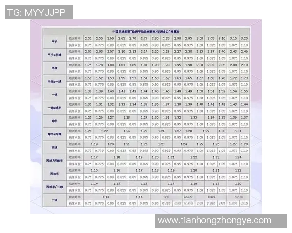 足球球星数据全解析：深度了解各大球员的能力与成就